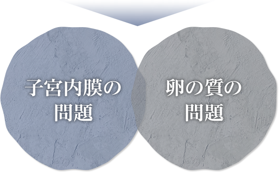 子宮内膜や卵の質の問題