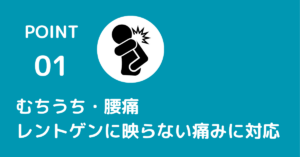交通事故で多いケガ「むちうち」や「腰痛」などレントゲンやMRIには症状が映らない痛みに対応します。